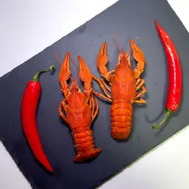 Раки вареные средние (40-60 г), 1 кг.